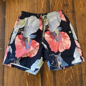 Adult Swim Trunks/Shorts (Medium)